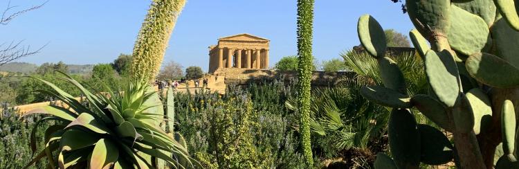 Viaggio in Sicilia: la bellezza salverà il mondo. 